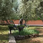 Jakov Villa *